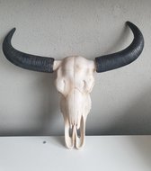 Buffel schedel met hoorns - SKULL - zwart - polystone - muurdecoratie - 44 x 42 cm