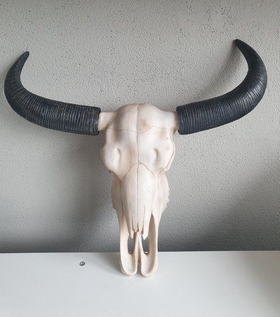 Buffel schedel met hoorns - SKULL - zwart - polystone - muurdecoratie - 44  x 42 cm | bol.com