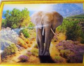 Denza - Diamond painting Olifant olifant full rond 40 x 50 direct leverbaar, volledig ronde steentjes mooi landschap