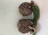 Dennen kerstballen