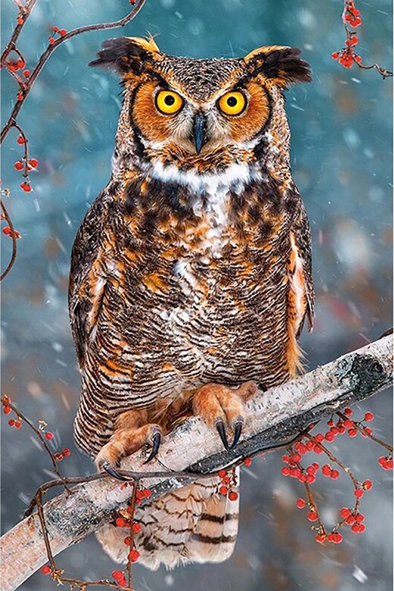 Diamond Painting Grote Uil - Hobbypakket - Vierkante steentjes - Volledig bedekt - 30x40 cm