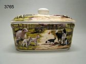 Botervloot Collie en schapen