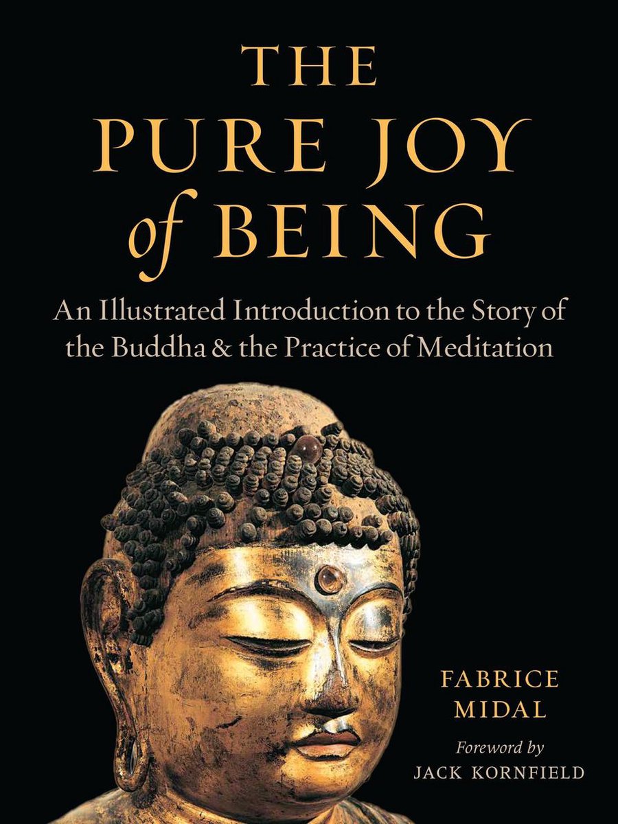 Bol Com The Pure Joy Of Being Fabrice Midal Boeken