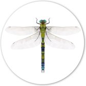 Wooncirkel - Libelle - polygonisch (⌀ 30cm)