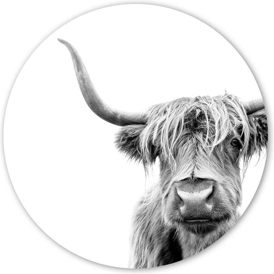 BONT | Wooncirkel (⌀ 40cm) - Schotse Hooglander - Buffel - Cow - Koe - Muurcirkel - Wandcirkel - Wanddecoratie - Zwart wit