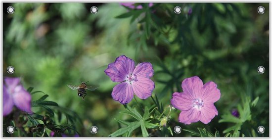 Tuinposter –Paarse Bloemen met Bij– 200x100 Foto op Tuinposter (wanddecoratie voor buiten en binnen)