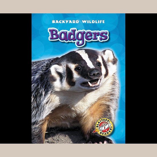 Badgers - cover