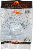 Spinnenweb Met 1 Spinnen | 20 Gram - Wit