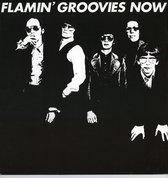 Flamin' Groovies Now