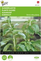 suikerplantje_Stevia rebaudiana (honingkruid)