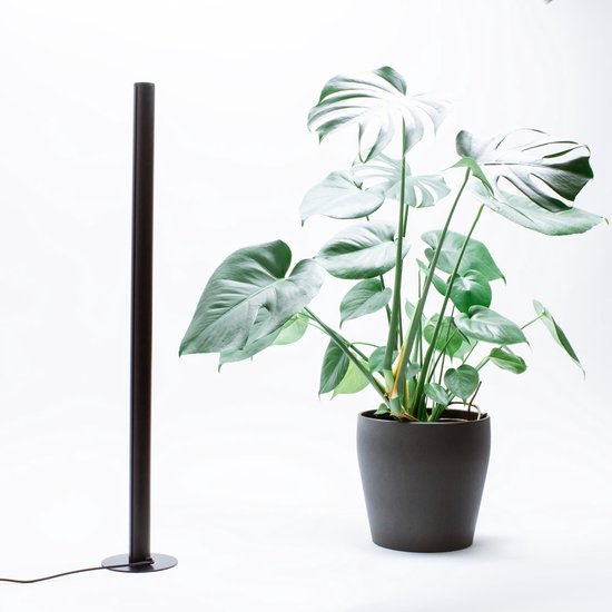 plus Intiem plek Plantenlamp: Ideaal voor planten in donkere hoeken