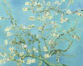 DP Diamond Painting Amandelbloesem Vincent van Gogh 60 x 50 cm - volledige bedekking, vierkante steentjes - Kwaliteitsproduct van DP!