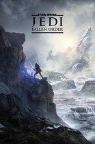 Star Wars Jedi Fallen Order landscape Poster 61x91.5cm