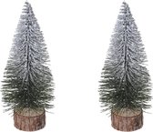 2x stuks kerstdecoratie kleine/mini kerstboompjes besneeuwd 25 cm - Kleine kerstbomen