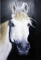 Olie op canvas - Paard - 100 cm hoog