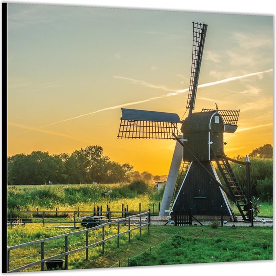 Dibond –Groene Molen in Wei -80x80 Foto op Aluminium (Met ophang