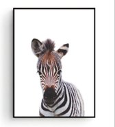 Postercity - Design Canvas Poster Baby Zebra / Kinderkamer / Dieren Poster / Babykamer - Kinderposter / Babyshower Cadeau / Muurdecoratie / 50 x 40cm