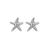 Ear studs sea star - iXXXi - Oorbellen Silver