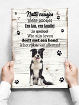 Wandbord hond: bordercollie - 30 x 42 cm