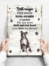 Wandbord hond: American staffordshire terrier - 30 x 42 cm