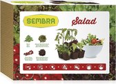 Sembra Adult - Salad Kit