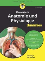 Übungsbuch Anatomie und Physiologie für Dummies