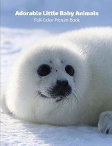 Adorable Little Baby Animals Full-Color Picture Book