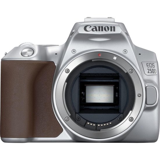 Canon EOS 250D + EF-S 18-55mm IS STM - Zilver | bol.com