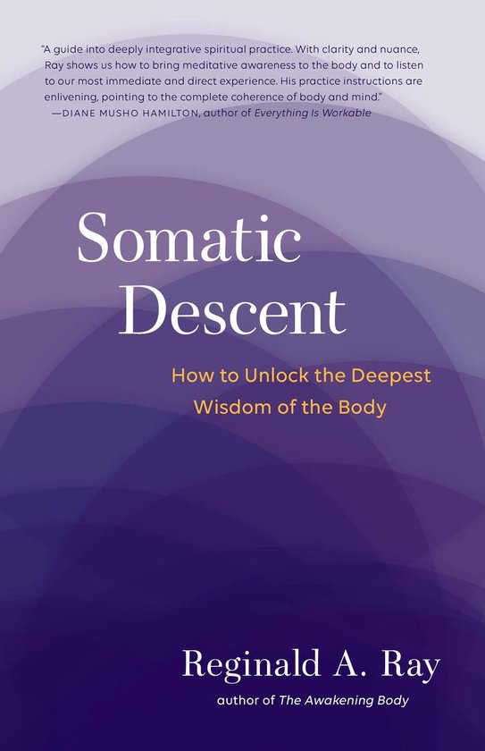 Somatic Descent - cover
