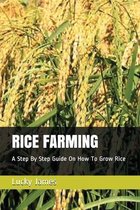 Rice Farming