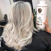 Shampooing tonifiant Matizer PATINE THE 4 FORCES TONER ROBSON PELUQUERO 1 L