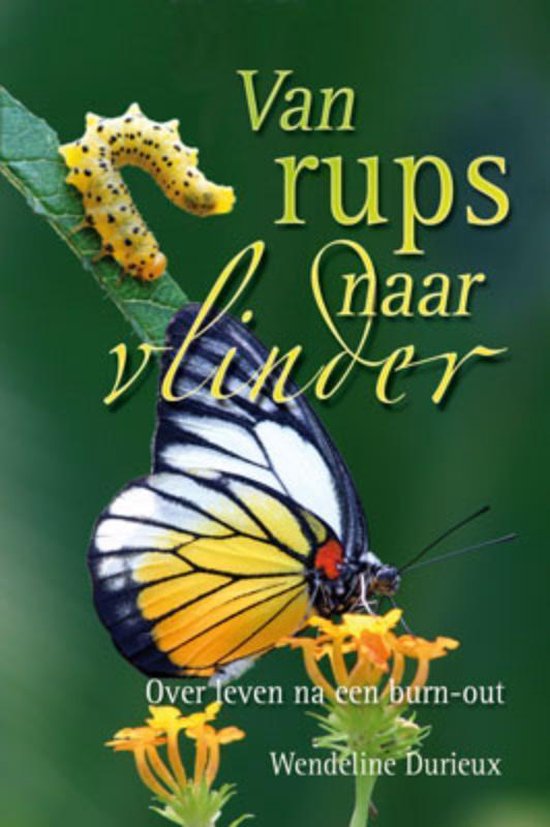 9789033815508 - Van rups naar vlinder