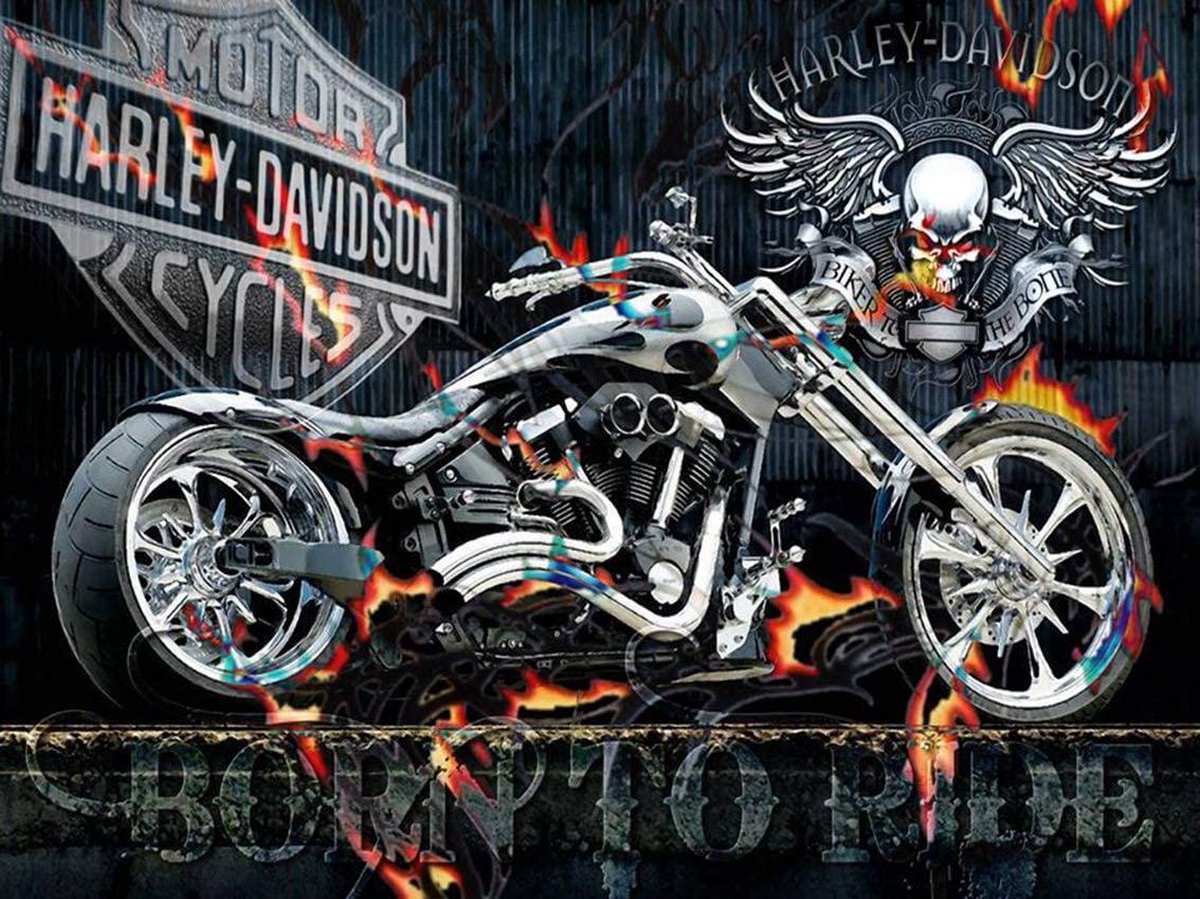 TOPMO Harley Davidson Motor 40 x 50 CM Diamond painting