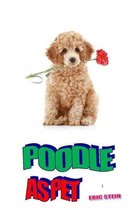 Poodle as Pet