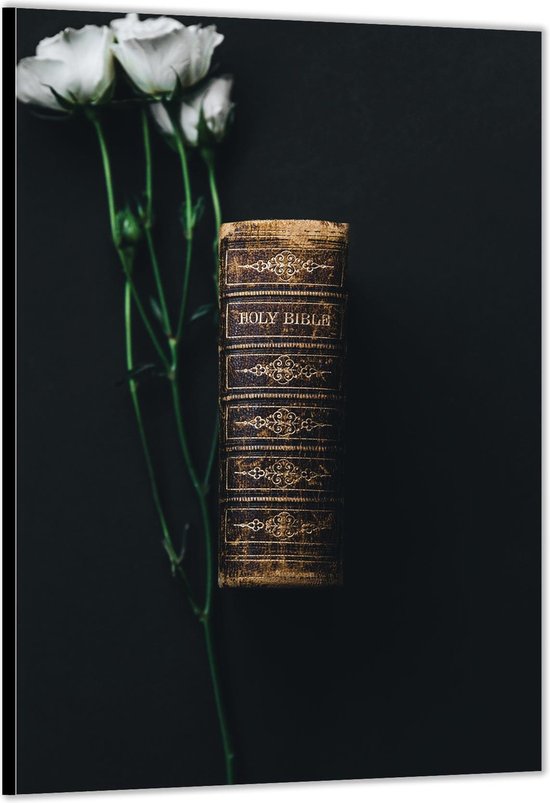 Dibond –De Heilige Bijbel - Holy Bible– 100x200cm Foto op Aluminium (Met Ophangsysteem)