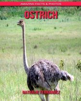 Ostrich