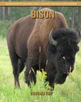 Bison