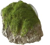 Aqua Della Decor Moss Stone Met Zuignap Small 12x9.5x10.5 cm
