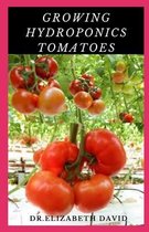 Growing Hydroponics Tomatoes