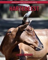 Hartebeest