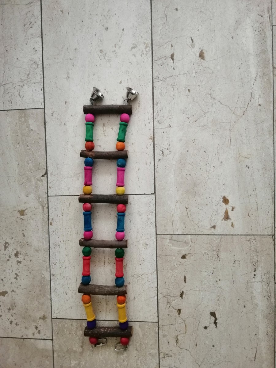 Parkietenladder