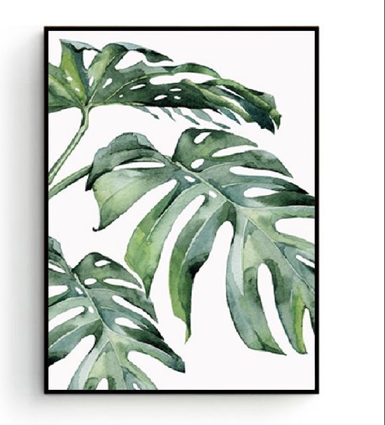 Postercity - Affiche sur toile Design gros plan plante botanique peinte / affiche Plantes / Décoration murale / 50 x 40 cm