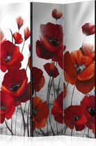 Kamerscherm - Scheidingswand - Vouwscherm - Poppies in the Moonlight [Room Dividers] 135x172 - Artgeist Vouwscherm