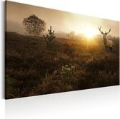 Schilderijen Op Canvas - Schilderij - Foggy Field 90x60 - Artgeist Schilderij