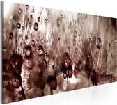 Schilderijen Op Canvas - Schilderij - Dandelions After Rain 120x40 - Artgeist Schilderij