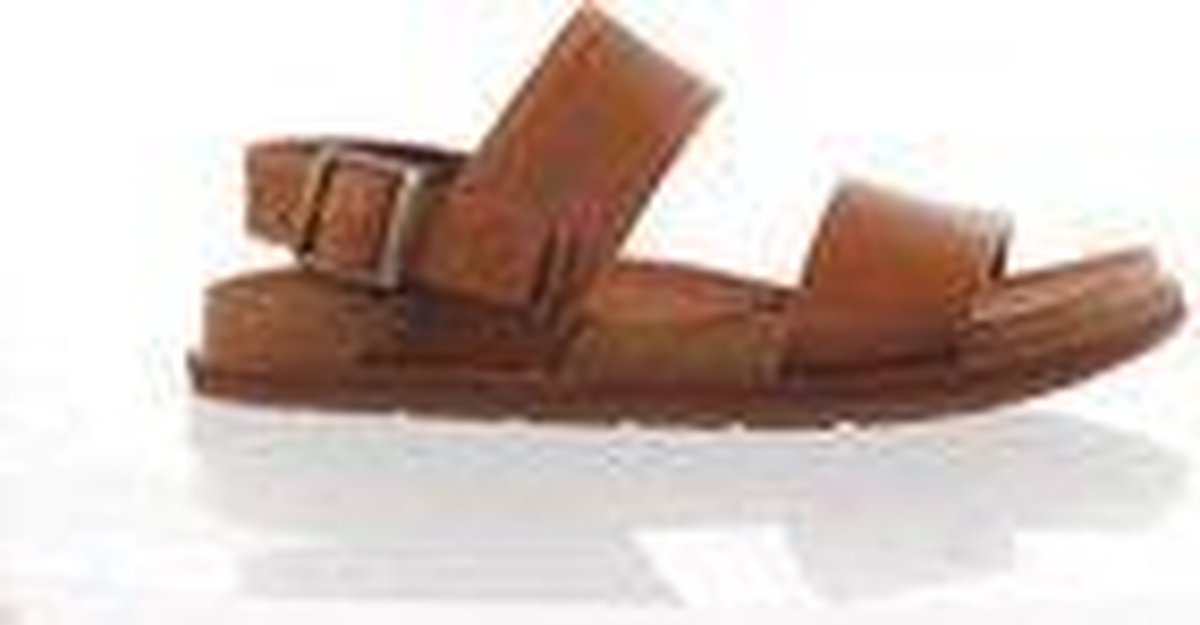 Timberland herensandaal amalfi vibes 2 band naturel A2B57 maat 47.5 -  Schoenen.nl