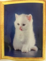 Diamond Painting 50 X 40 - Witte Kitten - Volledige bedekking, Complete set 011