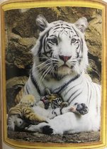 Diamond Painting 50 X 40 - Witte tijgers - Volledige bedekking, Complete set 003