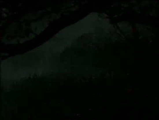 Dvd - Man Thing
