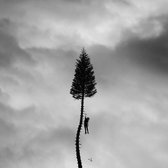 Manchester Orchestra - A Black Mile To The Surface (CD)